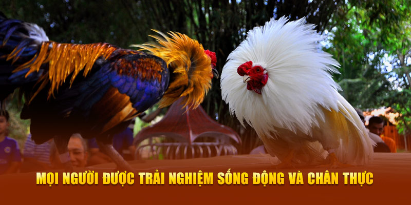 Mọi người được trải nghiệm sống động và chân thực